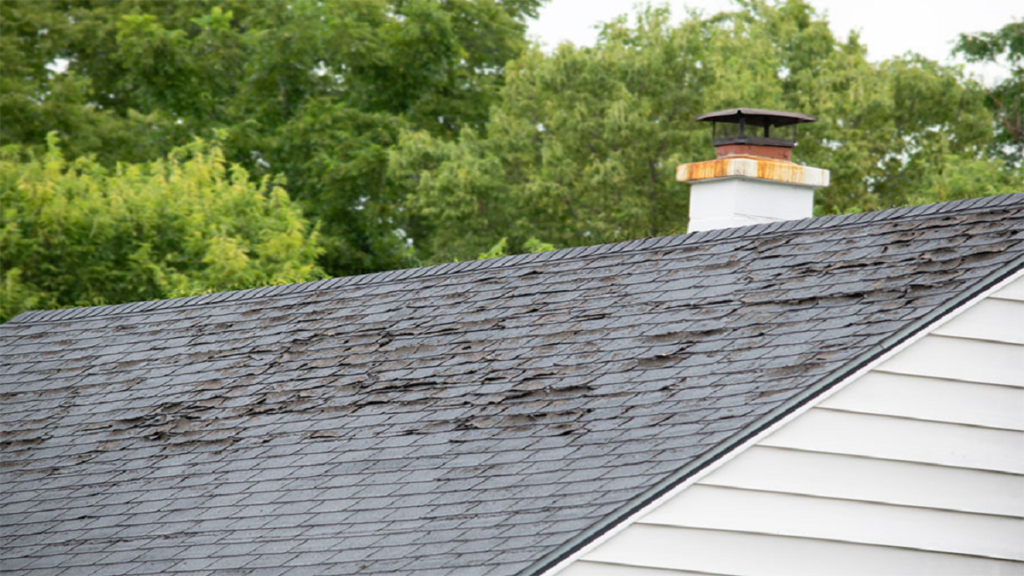 Visual representation of common signs indicating roof damage in Louisville, including missing shingles, water leaks, and sagging areas.